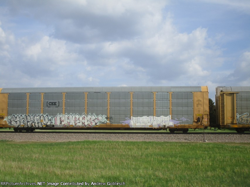 TTGX 715677